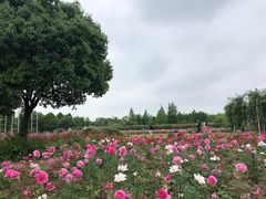 -尚贤河湿地
