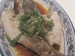 -至潮餐厅精致粤菜·活鲈鱼·走地鸡(珠江新城店)