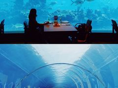 -海棠湾洲际-涛·海底餐厅·美人鱼·自助餐·海底隧道