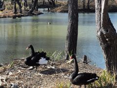 -长兴太湖图影湿地文化园