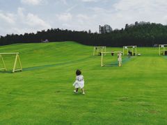 -迪茵湖田家舍生态农场