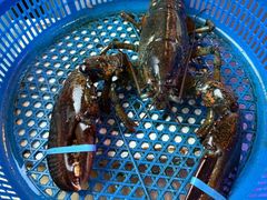 -渔民船说·北塘海鲜·天津菜·海肠捞饭(北塘古镇店)