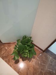 -丽美妍医疗美容·皮秒·立体分层抗衰