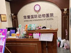 -宠爱国际动物医院· 猫科· 外科·中兽医(长白店)
