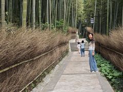 -东明山森林公园