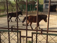 -祥源·阜阳生态乐园