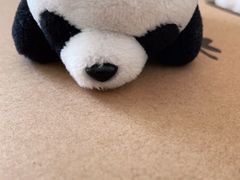 -瑞慈体检上海普陀机构