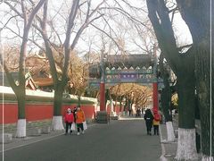 -北京国子监胡同