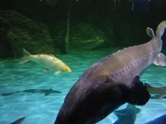 -常州海昌海洋探索馆