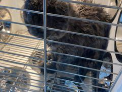 -佳雯宠物医院(金华南路分院)