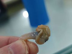 -八方海味餐厅
