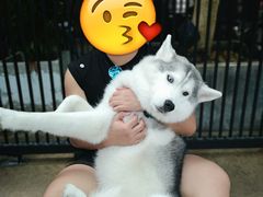 -TrueLove @ Neverland (Husky Cafe)
