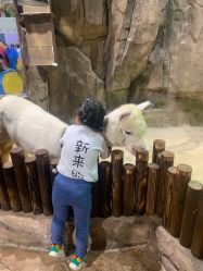 点击看大图 -宝燕乐园(闵行旗舰店)