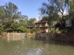 -溱湖国家湿地公园