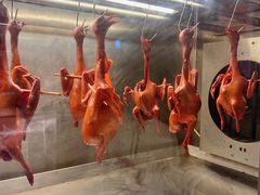 -鸽子侯·家宴·平价海鲜(绿地店)