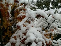 -徐州老菜馆(中枢街店)