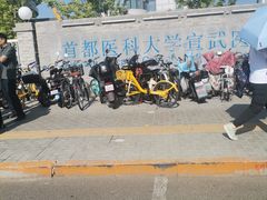 -首都医科大学宣武医院