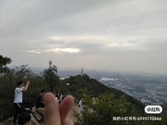 -紫金山山顶公园