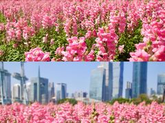 -海心沙亚运公园