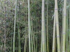 -紫竹院公园冰场