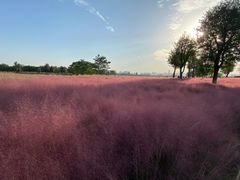 -汉长安城未央宫国家考古遗址公园