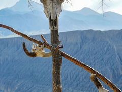 -火焰山景区(火焰山镇)