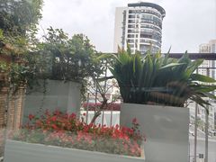 -浅深Cheersum(曹杨店)