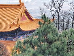 -崇圣寺三塔文化旅游区