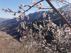 -北京凤凰岭