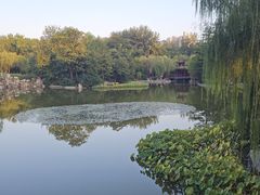 -西安市长乐公园