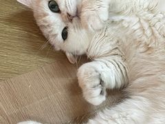 -宁波鄞州万达广场
