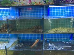 -陈小厨海鲜大咖·15年平潭味(龙王头店)