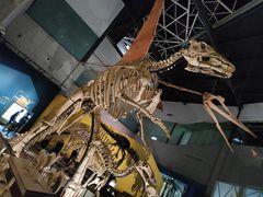 -湖南省地质博物馆