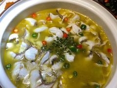 招牌青花椒-青花椒花椒鱼(新百店)