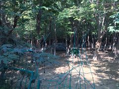 -亲兄弟真人CS团建拓展基地