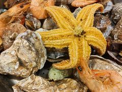 -永红源啤酒·烧烤·海鲜·大排档(青特城店)