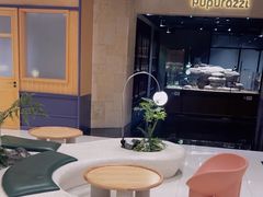 -帕帕拉兹宠物(亚洲旗舰店)