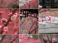 -东林广场(地铁站)