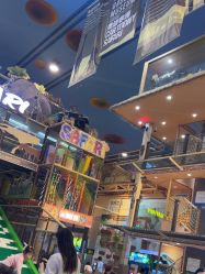 -卡通尼·Safari非洲探索乐园·生日会(金桥国际商业广场店)