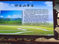 -西青郊野公园