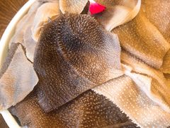 -快乐小羊(富强中路店)