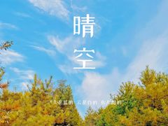 -五龙城郊森林公园