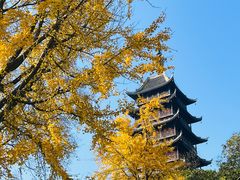 -常熟方塔园