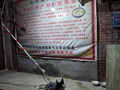 门面-湯太宗不翻湯