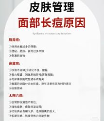点击看大图 -玛莲朵·海菲秀冰珀科