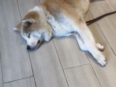 -YCHL Studios健身工作室(市二宫店)