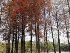 -四海公园(南山区)