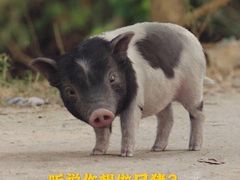 -新辣道鱼火锅(西直门店)