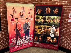 -华美国际影城(旧宫永辉店)