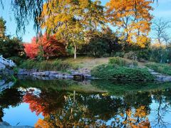 -德克士(置信银河店)